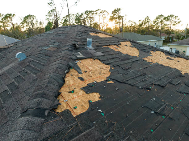 Best Gutter Installation and Repair  in Hales Corners, WI