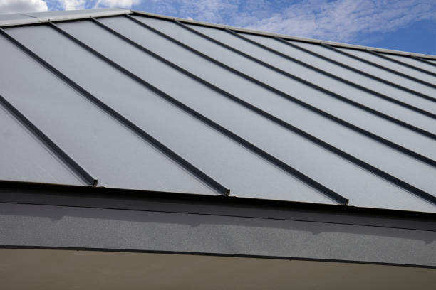 Best Roof Maintenance and Cleaning  in Hales Corners, WI