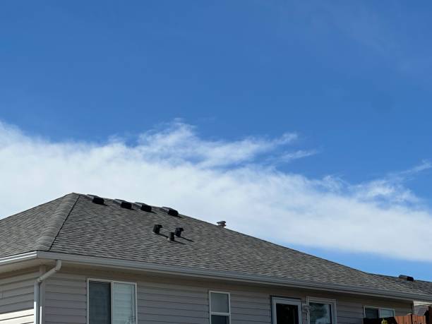 Best Roofing for New Construction  in Hales Corners, WI