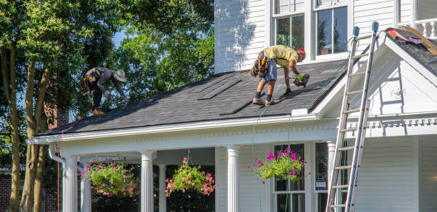 Best Chimney Flashing Repair  in Hales Corners, WI